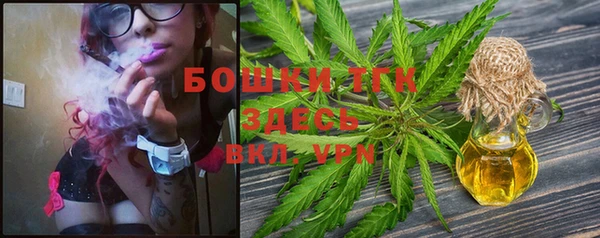 винт Горняк