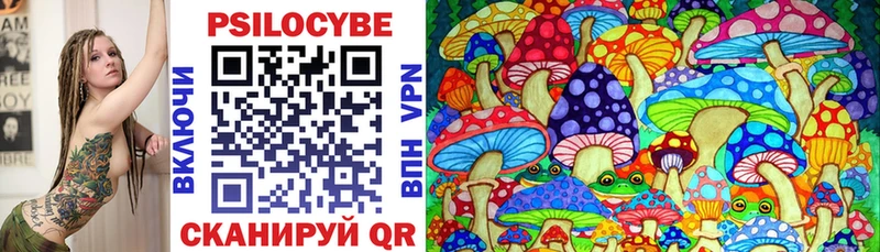 Псилоцибиновые грибы Cubensis  Купить закладки  Биробиджан 